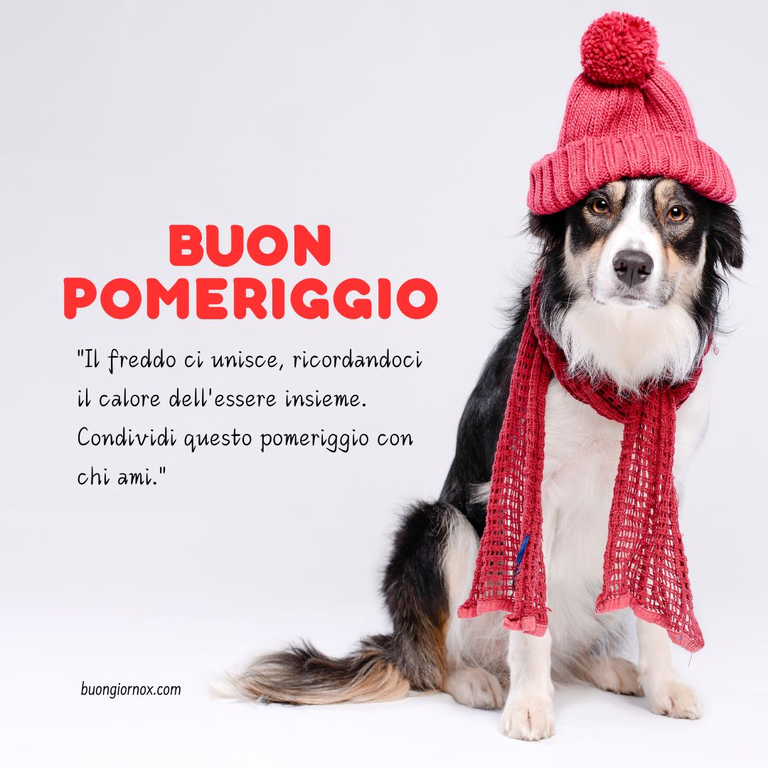 cane con berretto invernale